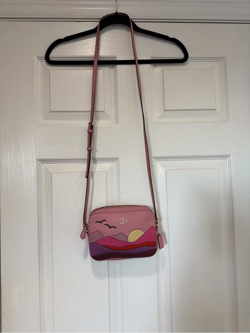MINI CAMERA BAG WITH MOUNTAIN POSTCARD NWOT - Picture 2 of 10